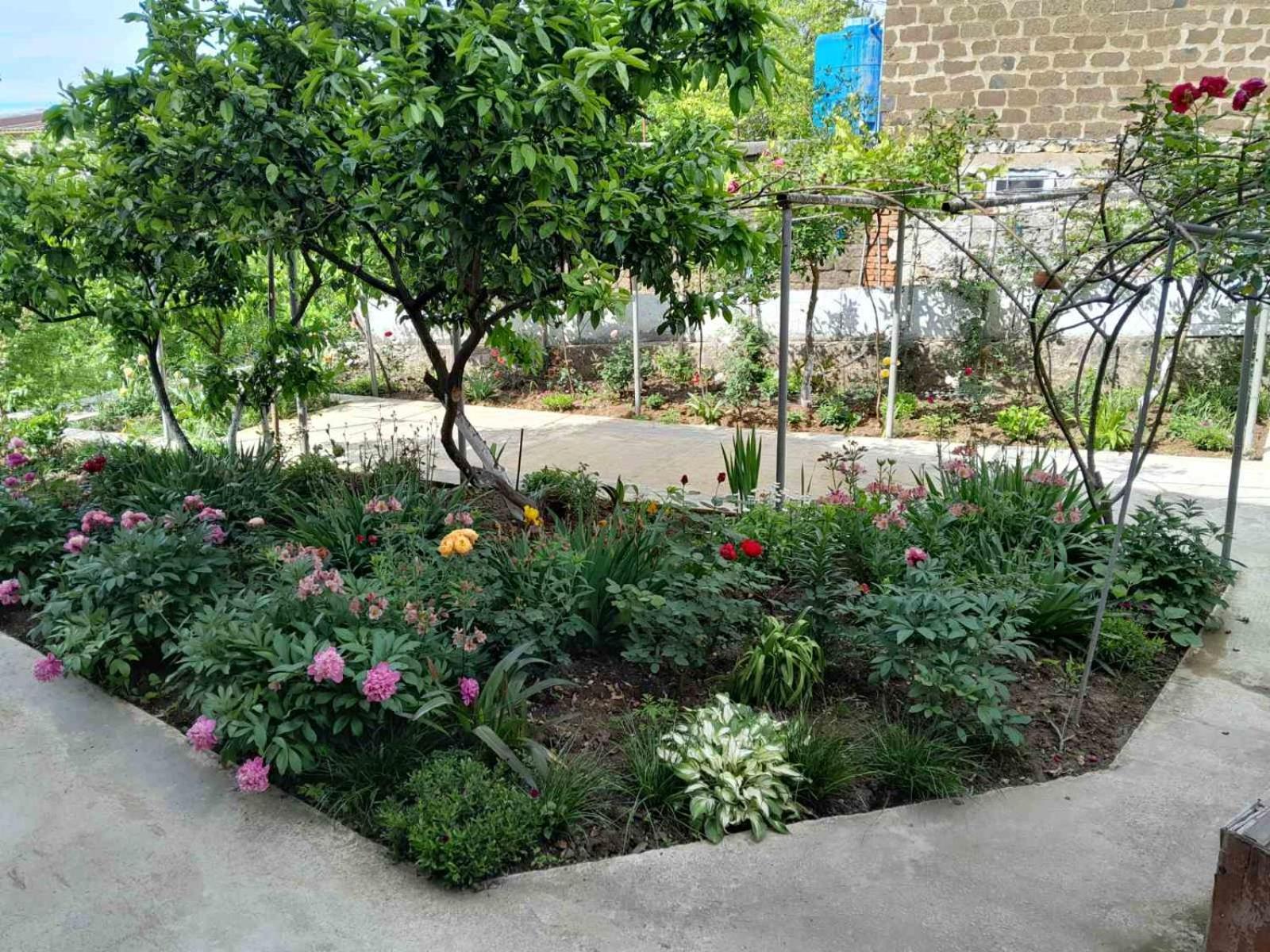 Guest House T&N Κουτάισι Εξωτερικό φωτογραφία